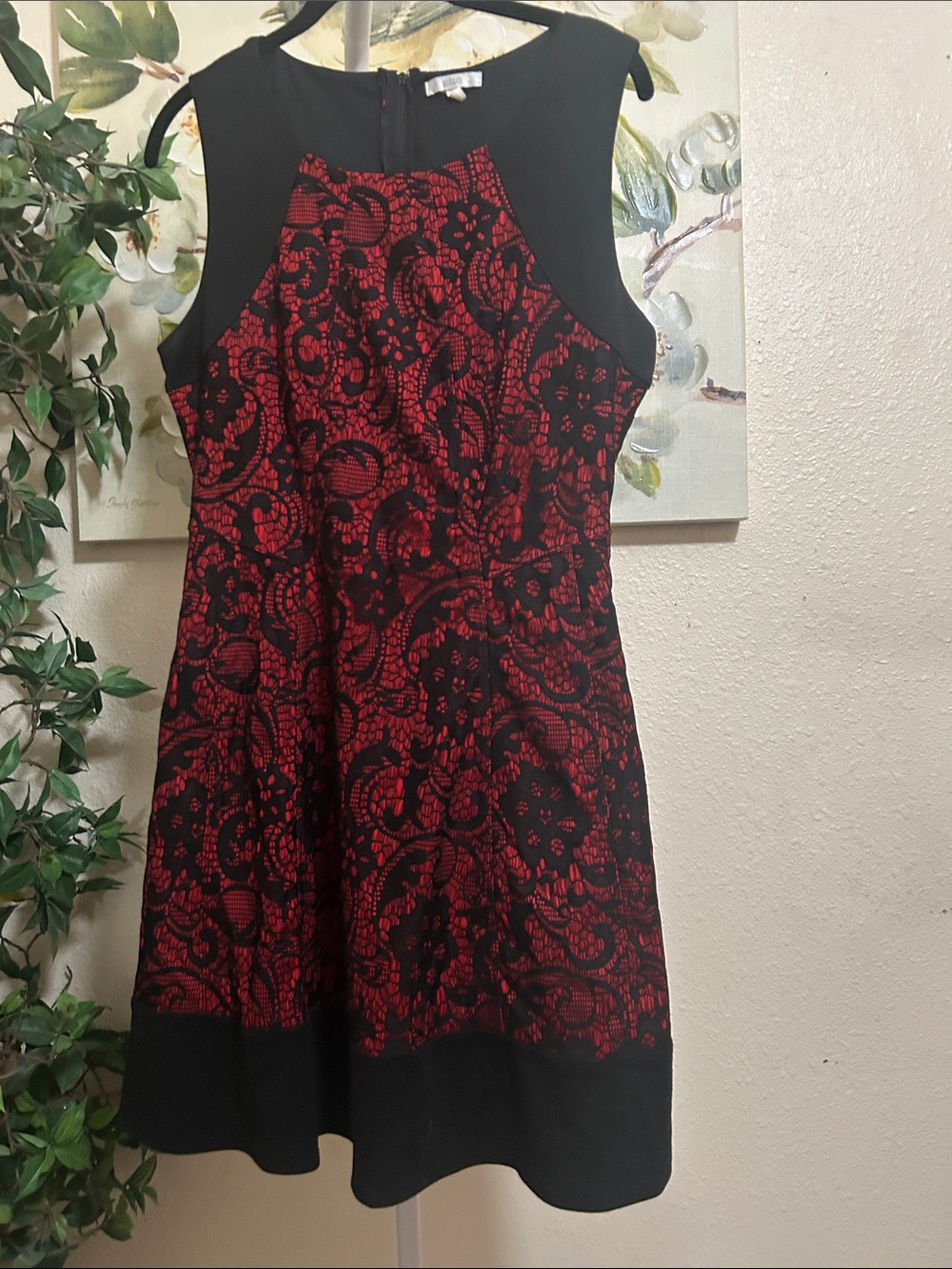 Halo Black and Red Lace-Overlay Midi Dress